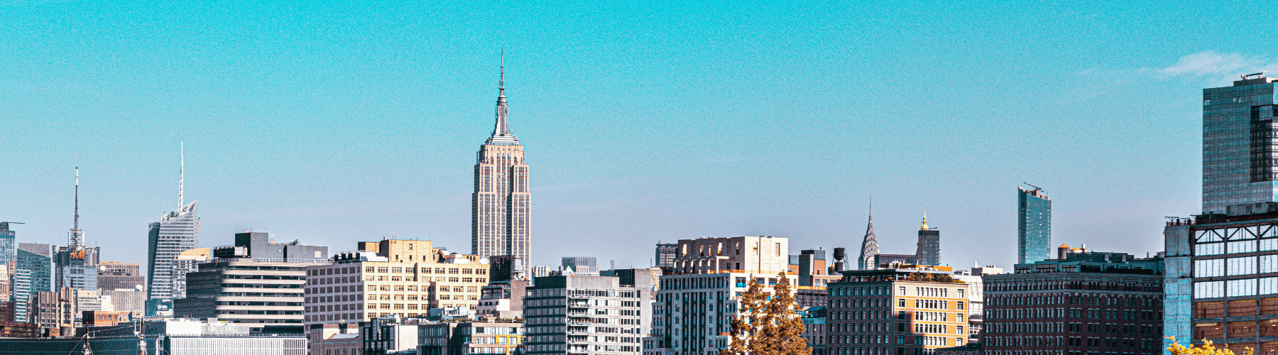 Web Development Page - CosmiCom Collective (2)